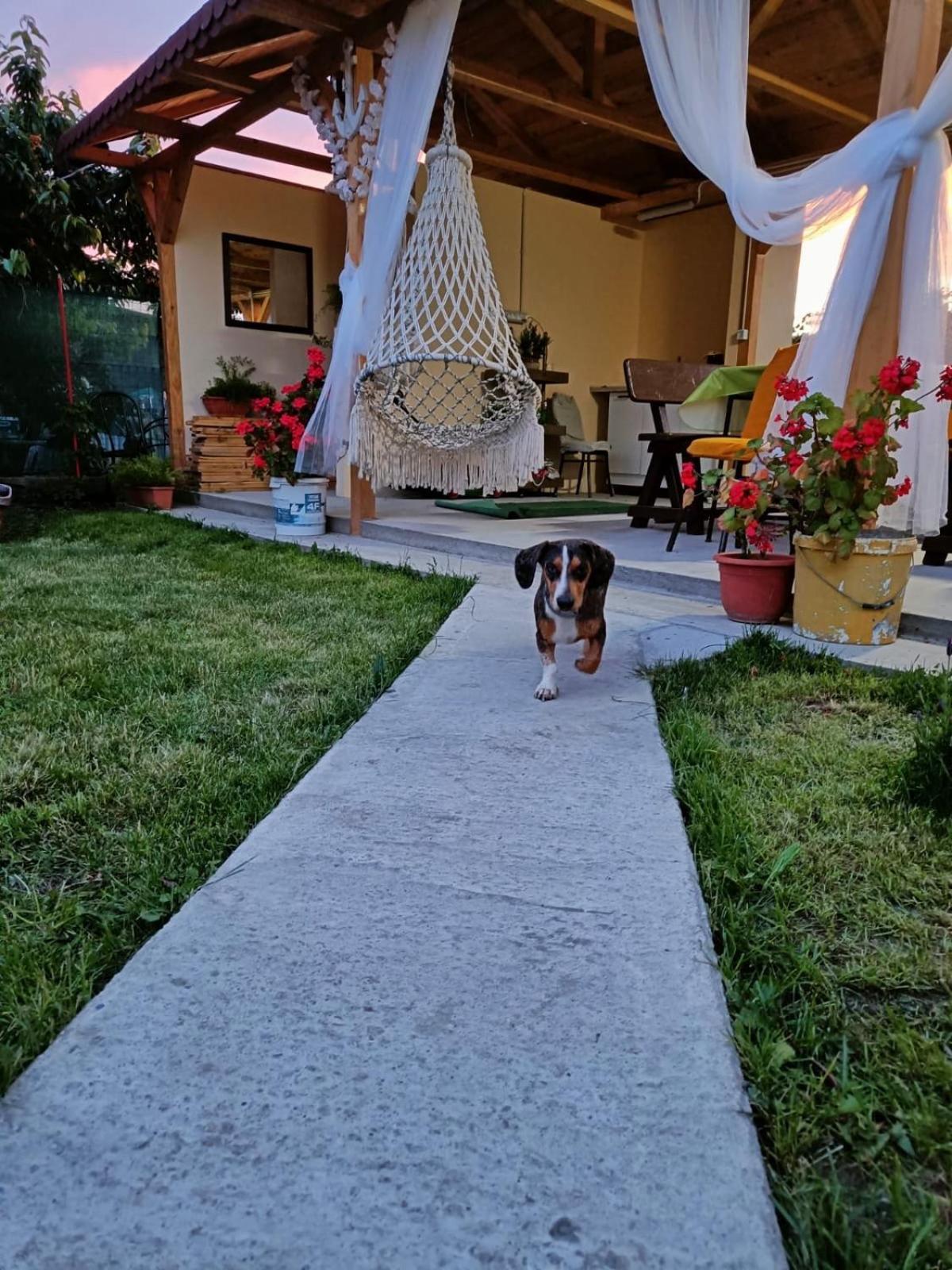 Hotel Casa Enka Tuzla Exteriér fotografie
